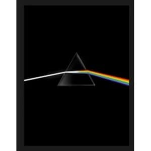 Image of Pink Floyd : Their Mortal Remains