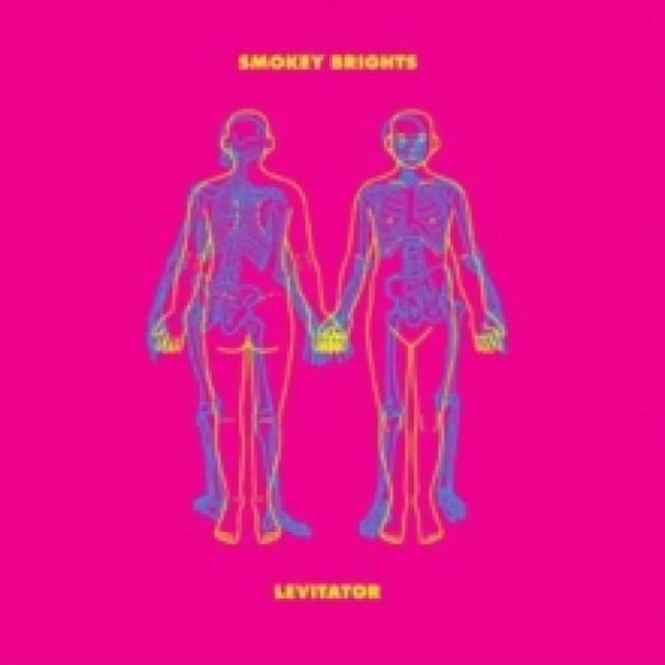 Image of Levitator Vinyl