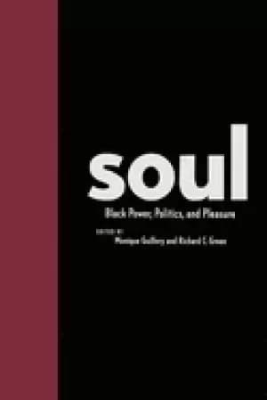 Image of soul Black power politics and pleasure