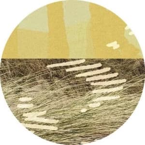 Image of Parris – Terrapin EP Vinyl
