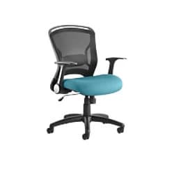Image of Dynamic Tilt & Lock Task Operator Chair Folding Arms Zeus Maringa Teal Seat Without Headrest Medium Back