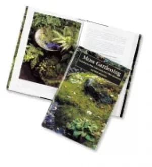 Image of moss gardening including lichens liverworts and other miniatures