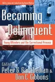 Image of Becoming Delinquent Young Offenders and the Correctional Process