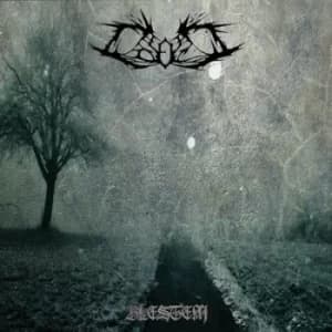 Image of Blestem by Colosus CD Album