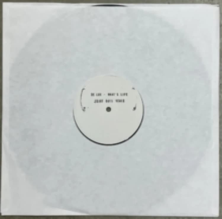 Image of What's Life (Idjut Boys Remix) Vinyl