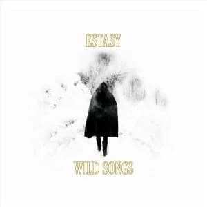 Image of Estasy - Wild Songs Vinyl
