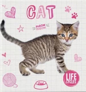 Image of Cat by Holly Duhig