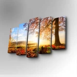 Image of 5PUC-030 Multicolor Decorative Canvas Painting (5 Pieces)