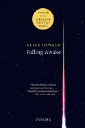 Image of falling awake poems