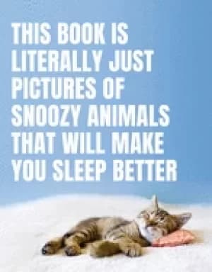 Image of this book is literally just pictures of snoozy animals that will make you s