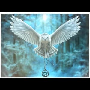 Image of Large Awake Your Magic Canvas Picture by Anne Stokes