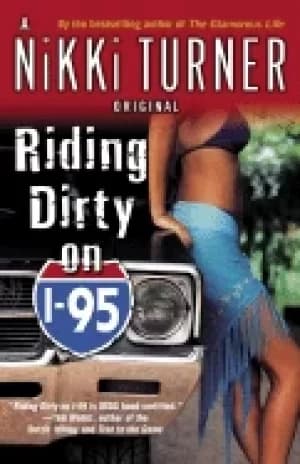 Image of riding dirty on i 95