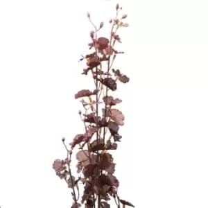 Image of Deep Purple Dancing Orchid Stem