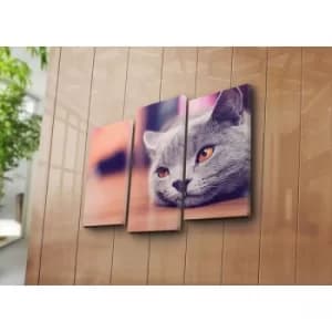 Image of 3NATPAT-4 Multicolor Decorative Canvas Painting (3 Pieces)