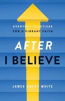 Image of After "I Believe" : Everyday Practices for a Vibrant Faith