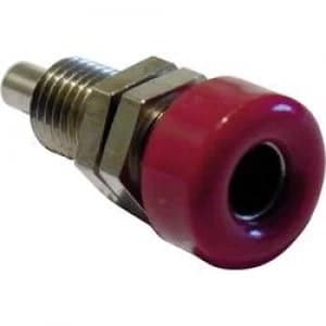 Image of Jack socket Socket vertical vertical Pin diameter 4mm Green S