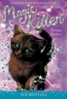 Image of Picture Perfect no. 13 by Sue Bentley Paperback
