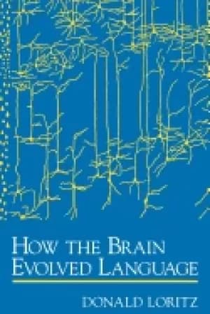 Image of how the brain evolved language