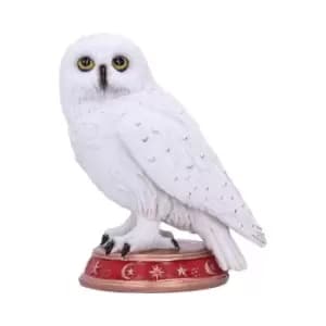 Image of Wizard's Familiar 10cm