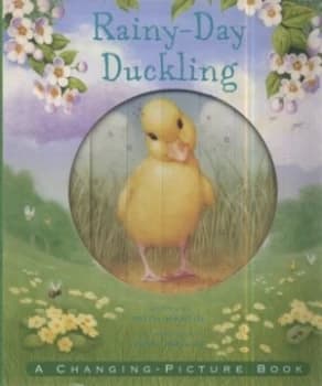 Image of Rainy-Day Duckling by Ruth Martin Hardback