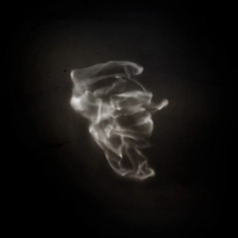 Image of The Little Match Girl Vinyl