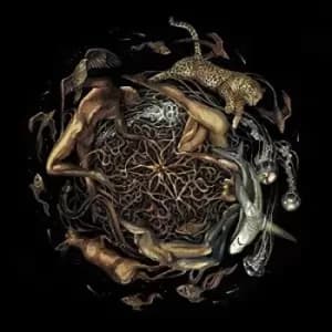 Image of Heart Is the Star of Chaos by Selcouth CD Album
