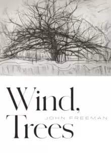 Image of Wind, Trees