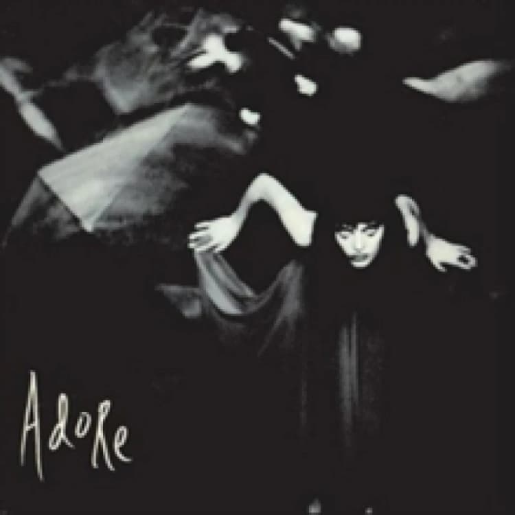 Image of The Smashing Pumpkins The Smashing Pumpkins Adore - 2x Vinyl LP in Black One Size Unisex 0602537899265