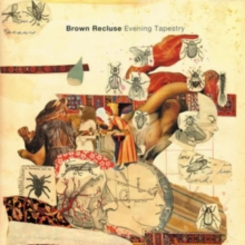 Image of Evening Tapestry CD / Album