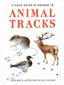 Image of Animal Tracks by Miroslav Bouchner Paperback