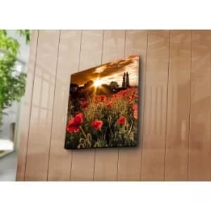Image of 4545NAT-13 Multicolor Decorative Canvas Painting