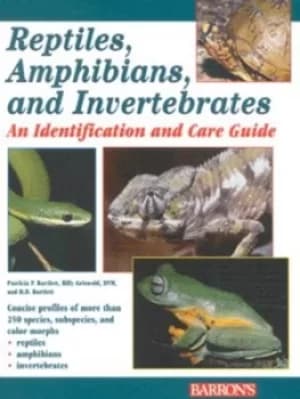 Image of Reptiles amphibians and invertebrates by Patricia P Bartlett|Billy Griswold|R.D Bartlett