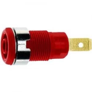 Image of Safety jack socket Socket vertical vertical Pin diameter 4mm Red