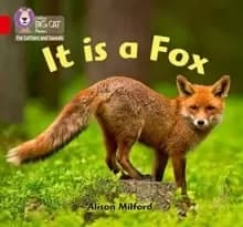 Image of It is a Fox : Band 02b/Red B
