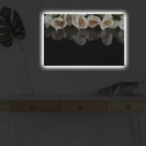 Image of 4570DHDACT-079 Multicolor Decorative LED Lighted Canvas Painting