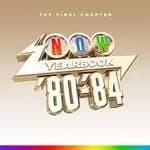 Image of NOW - Yearbook 1980 - 1984: The Final Chapter (Music CD)