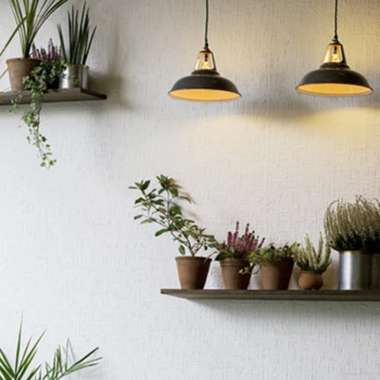 Image of Anaglypta Supaglypta Edward Rd0602