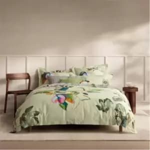 Image of Sheridan Sheridan Dallery DCSet 41 - Green