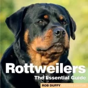 Image of Rottweilers by
