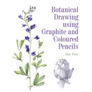 Image of Botanical Drawing Using Graphite and Coloured Pencils