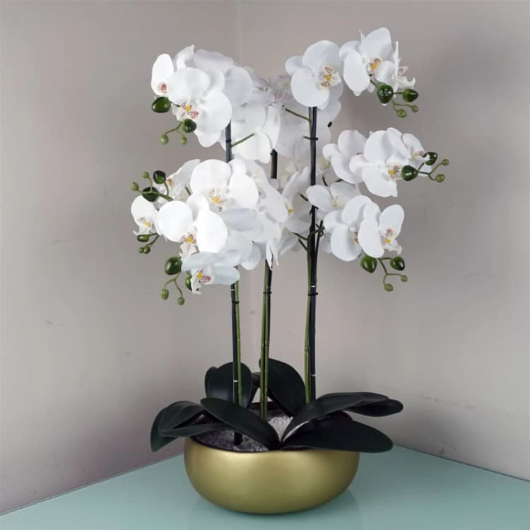 Image of Leaf 60cm Orchid White - Gold Ceramic Planter Green