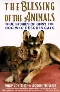 Image of blessing of the animals true stories of ginny the dog who rescues cats