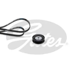 Image of Micro-V Multi-Ribbed Belt Kit Gates K014PK765