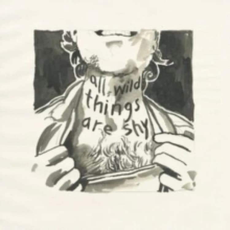 Image of All wild things are shy CD / Album