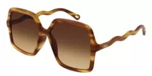 Image of Chloe Sunglasses CH0086S 002