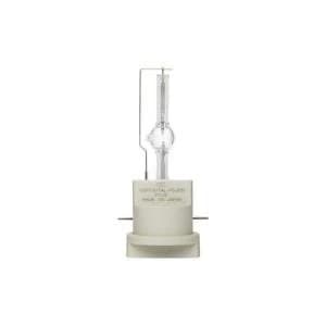 Image of GE Lighting 700W Globe Dimmable High Intensity Discharge Bulb A Energy