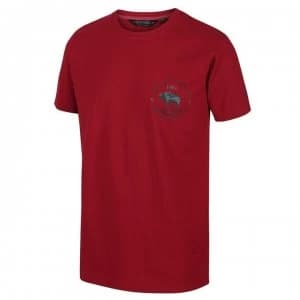 Image of Regatta Cline IV Graphic Tshirt - Spice