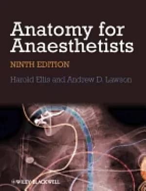 Image of anatomy for anaesthetists