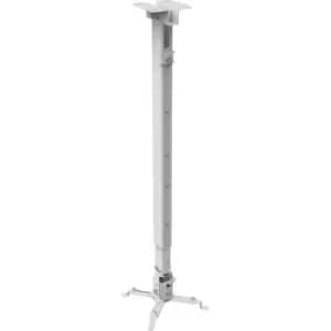 Image of Reflecta Tapa Projector ceiling mount Max. distance to floor/ceiling: 120cm White