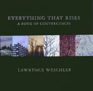 Image of Everything that rises by Lawrence Weschler